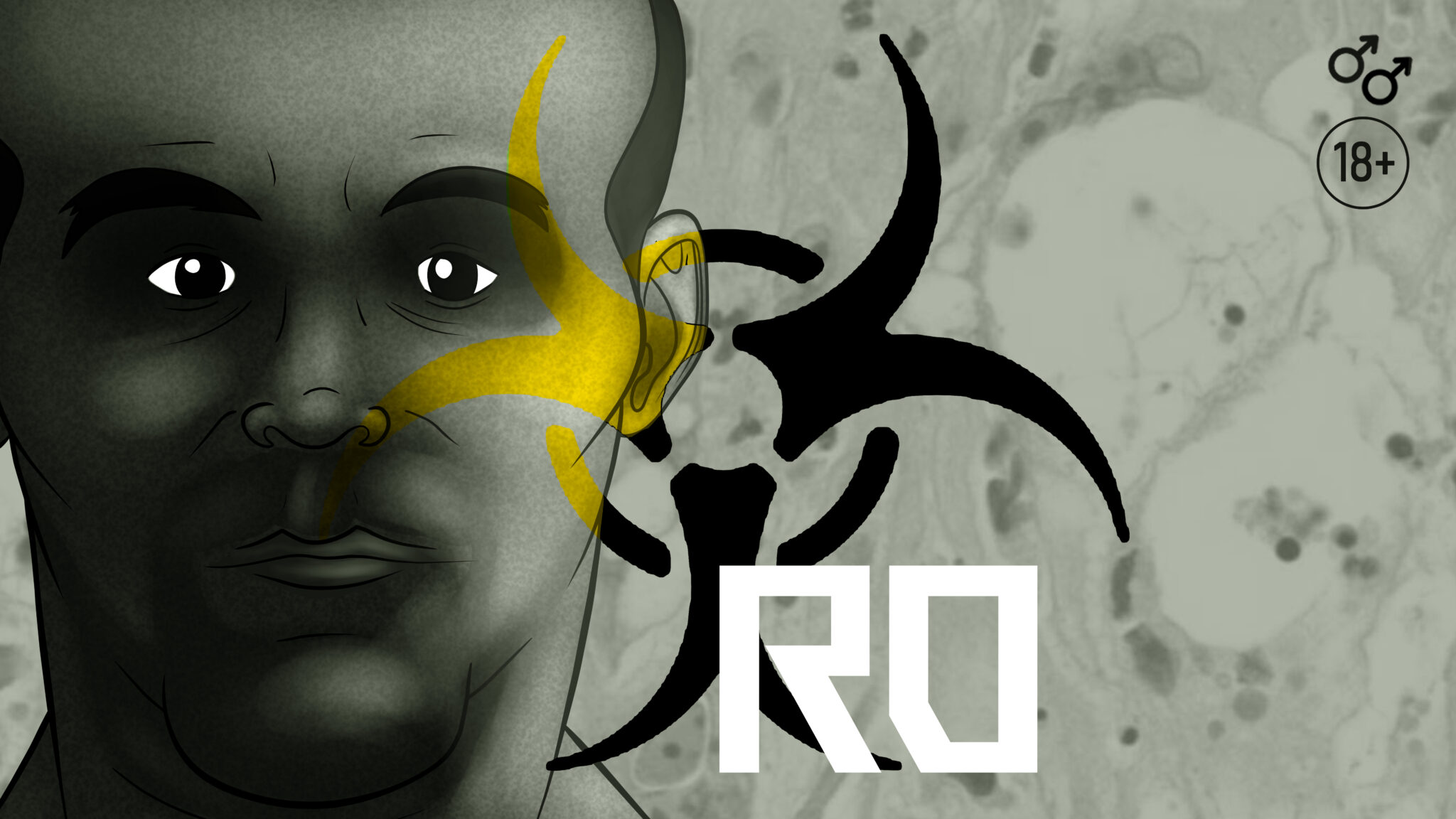 Ro Interactive – Wevemos